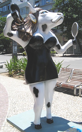 Rio cows