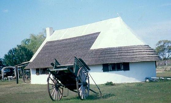 Languedoc photo - Camargue