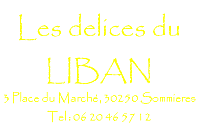 Lebanese specialities under the aone  06 20 46 57 12
