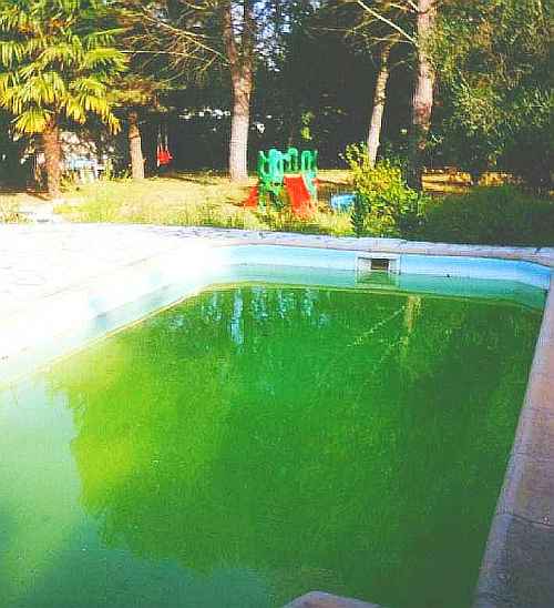 Languedoc photo - Pool