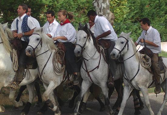  Languedoc Photo - Fetes votives, Saussines