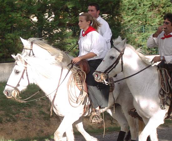  Languedoc Photo - Fetes votives, Saussines