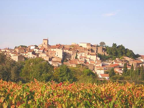 Languedoc photo - Magalas vines in autumn