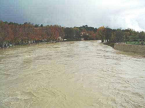 Languedoc photo - Sommieres