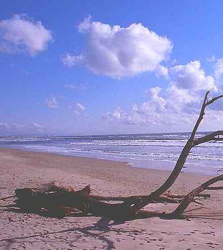 Languedoc photo - Grand Travers