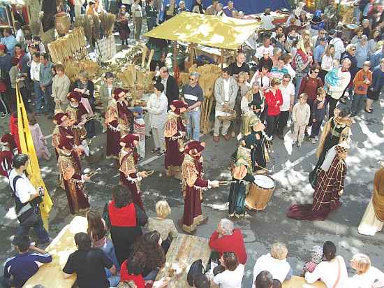 Languedoc photo - Sommieres