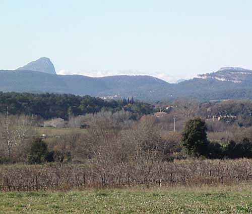 Languedoc photo - Pic St Loup