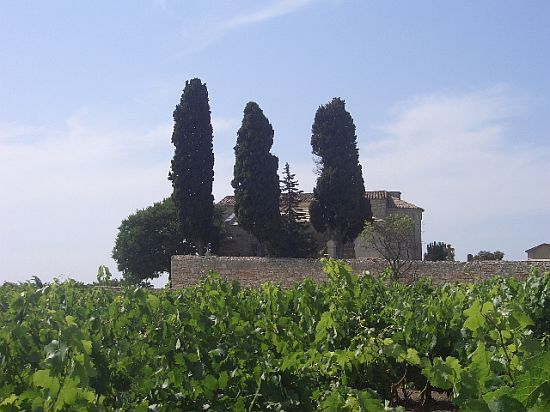 Languedoc photo - Salinelles