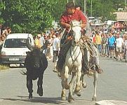 Tour de France, Languedoc